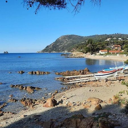 Les Bois Flottes . Plage De La Verne La Seyne-sur-Mer Ngoại thất bức ảnh