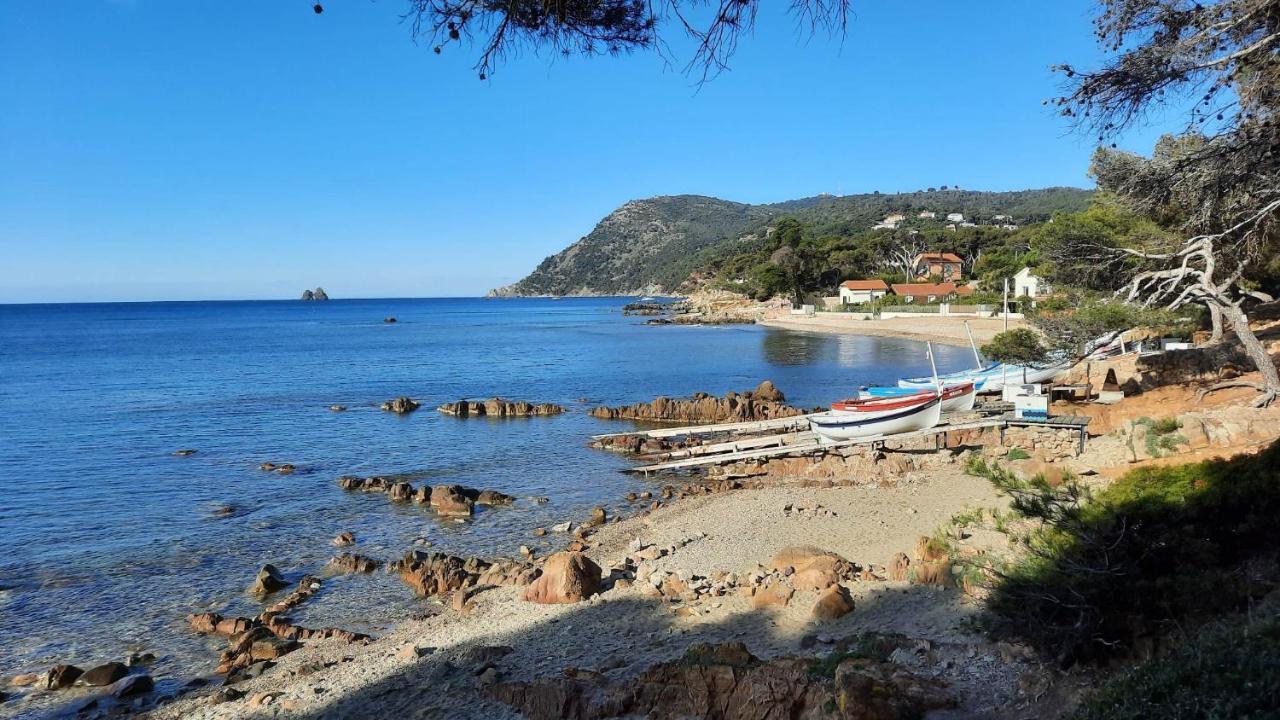 Les Bois Flottes . Plage De La Verne La Seyne-sur-Mer Ngoại thất bức ảnh